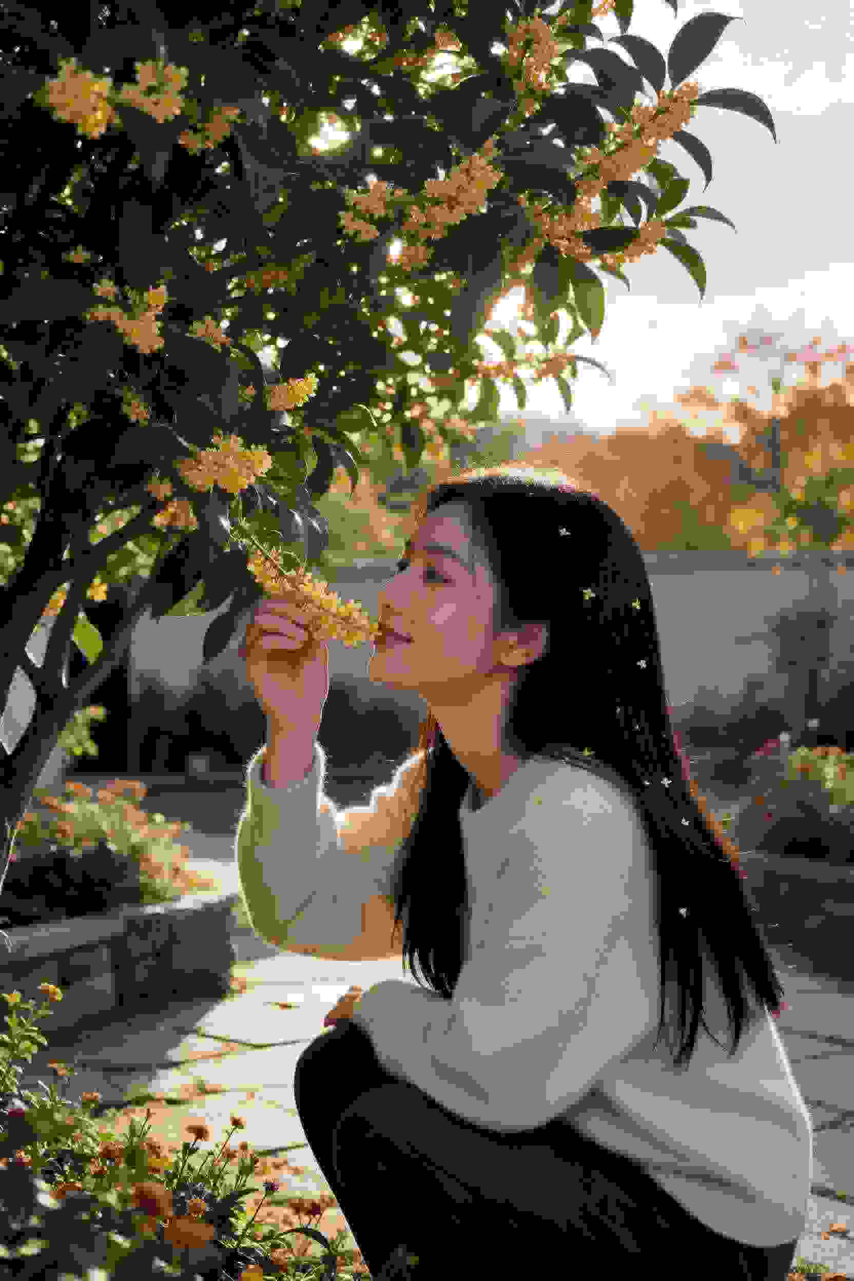 荒岛美人劫·绝世风华